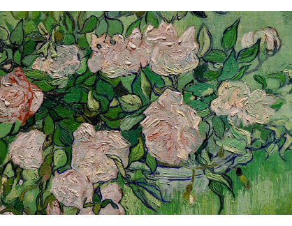 VR2-184 Vincent van Gogh - Keř růží
