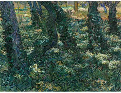 VR2-246 Vincent van Gogh - Podrost s břečťanem