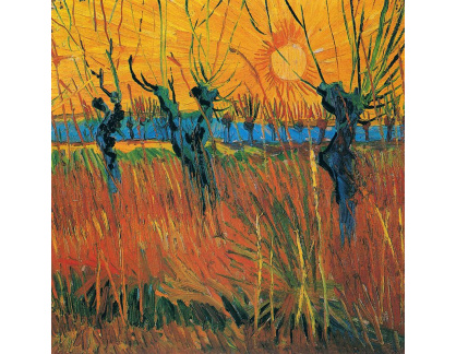VR2-262 Vincent van Gogh - Vrby při západu slunce