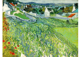 VR2-263 Vincent van Gogh - Vinice v Auvers