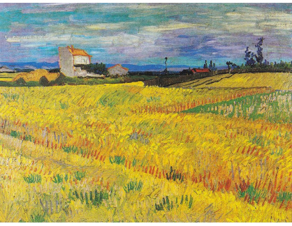 VR2-264 Vincent van Gogh - Pšeničné pole
