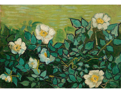 VR2-281 Vincent van Gogh - Divoké růže
