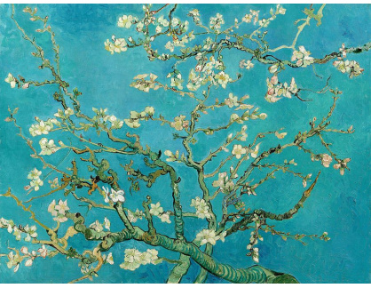 VR2-3 Vincent van Gogh - Kvetoucí mandloň