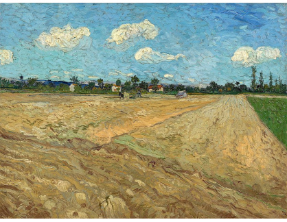 VR2-304 Vincent van Gogh - Zorané pole