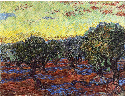 VR2-322 Vincent van Gogh - Olivový sad s oranžovým nebem