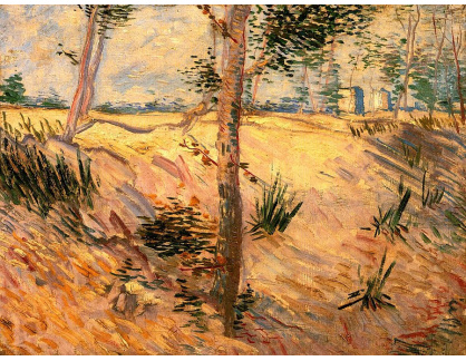 VR2-48 Vincent van Gogh - Kmeny stromů ve slunečním světle