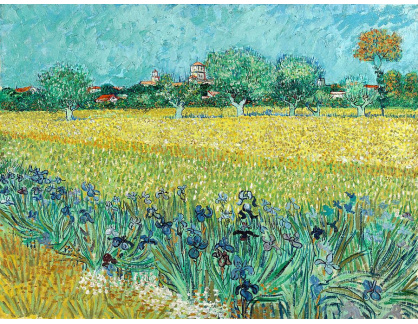 VR2-54 Vincent van Gogh - Pohled na Arles s kosatci v popředí
