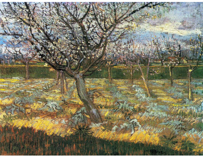 VR2-67 Vincent van Gogh - Kvetoucí meruňkový sad