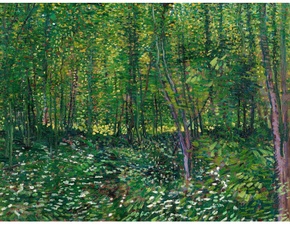 VR2-75 Vincent van Gogh - Stromy a křoví