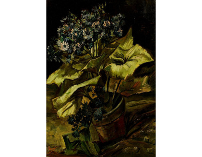 R2-64 Vincent van Gogh - Květináč s astrami