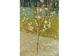 VR2-361 Vincent van Gogh - Kvetoucí mandloň