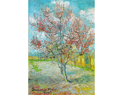 VR2-362 Vincent van Gogh - Kvetoucí broskvoně