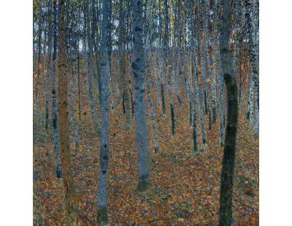 VR3-130 Gustav Klimt - Bukový les