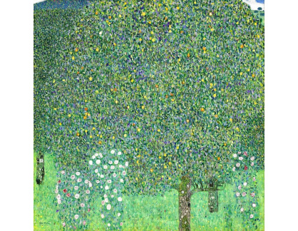 VR3-120 Gustav Klimt - Růžové keře pod stromy