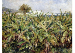 VR14-29 Pierre-Auguste Renoir - Banánové pole