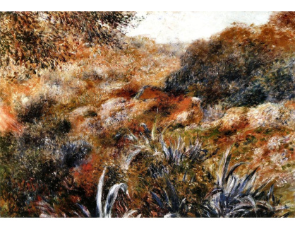 VR14-69 Pierre-Auguste Renoir - Divoká rokle alžírské krajiny