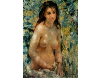 VR14-121 Pierre-Auguste Renoir - Nahota na slunci