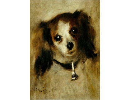 VR14-233 Pierre-Auguste Renoir - Hlava psa