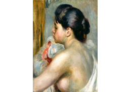 VR14-295 Pierre-Auguste Renoir - Tmavovlasá žena