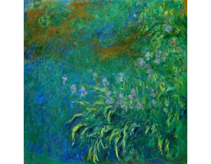 R8-183 Claude Monet - Kosatce