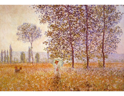 VCM 14 Claude Monet - Topoly ve slunečním svitu