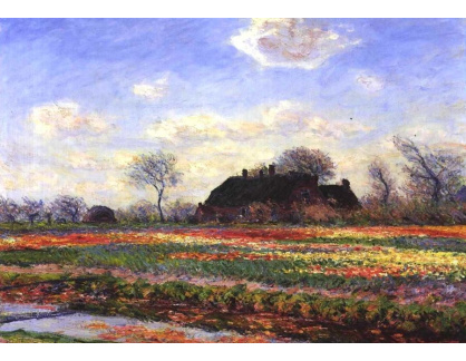 VCM 50 Claude Monet - Tulipány na poli poblíže Leidenu