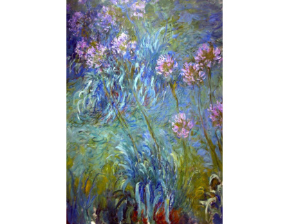 VCM 73 Claude Monet - Agapanthus