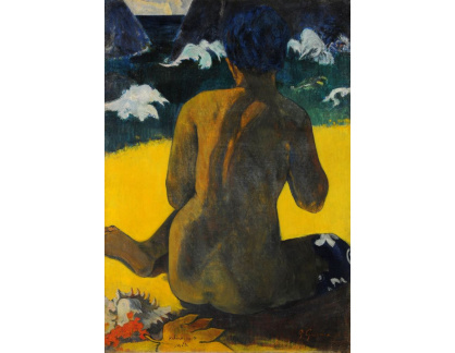 VPG 45 Paul Gauguin - Žena u moře