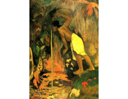 R9-96 Paul Gauguin - Tajemná voda