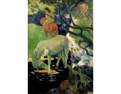 R9-198 Paul Gauguin - Bílý kůň