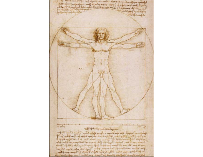 R1-3 Leonardo da Vinci - Proporce lidské postavy