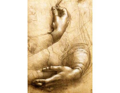 R1-194 Leonardo da Vinci - Studie dlaní