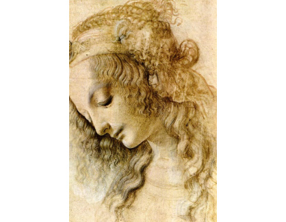 R1-289 Leonardo da Vinci - Studie ženské hlavy