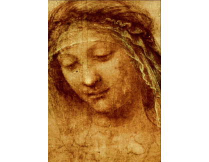 VR1-13 Leonardo da Vinci - Studie ženy