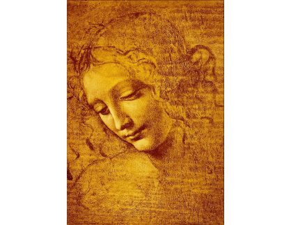 VR1-15 Leonardo da Vinci - Studie ženské hlavy