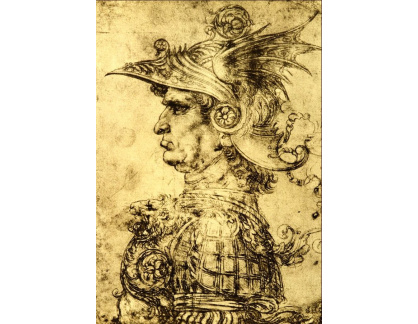 VR1-18 Leonardo da Vinci - Muž v helmici
