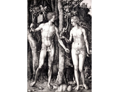 VR12-69 Albrecht Dürer - Adam a Eva