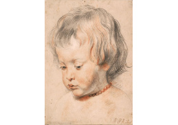 VRU222 Peter Paul Rubens - Nicolaas Rubens