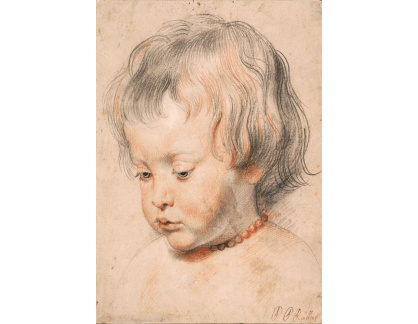 VRU222 Peter Paul Rubens - Nicolaas Rubens