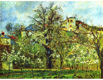 VCP-305 Camille Pissarro - Ovocná zahrada s kvetoucími stromy