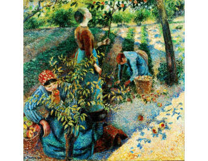VCP-385 Camille Pissarro - Sběr jablek
