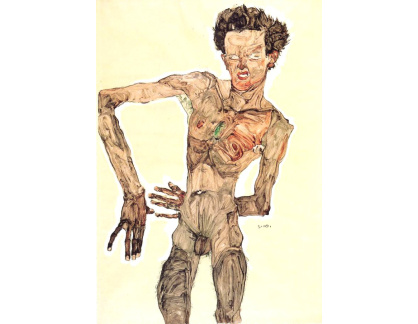 VES 75 Egon Schiele - Autoportrét, akt