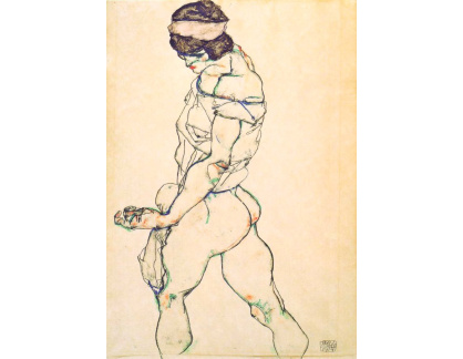 VES 119 Egon Schiele - Akt, levý bok ženského těla