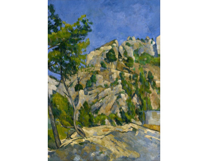 VR10-10 Paul Cézanne - Lesní scéna