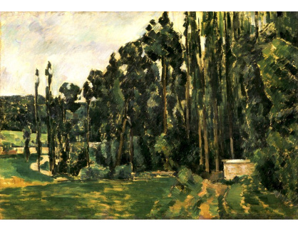 VR10-29 Paul Cézanne - Topoly