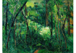 VR10-44 Paul Cézanne - V lese