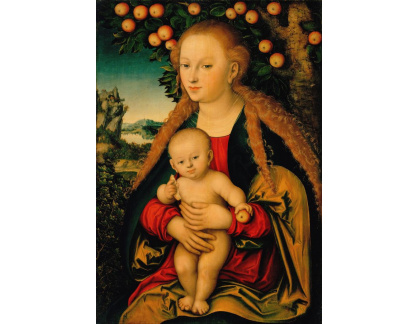 VlCR-44 Lucas Cranach - Madonna s dítětem pod jabloní