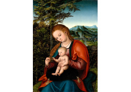 VlCR-130 Lucas Cranach - Madonna s dítětem