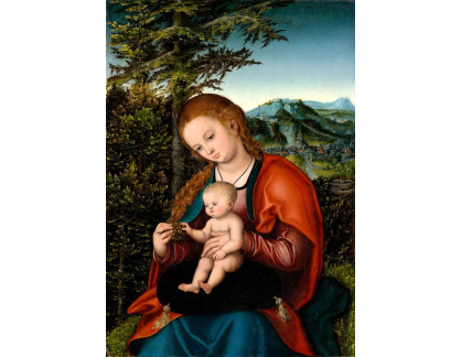 VlCR-130 Lucas Cranach - Madonna s dítětem