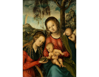 VlCR-134 Lucas Cranach - Madonna s dítětem a svatou Kateřinou